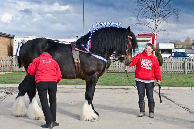  Eventos en Hurst Green Shires Trekking 